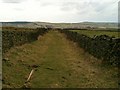 Enclosed footpath south of Wycoller