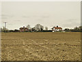 TM1879 : Cottages from across the field at Thorpe Abbotts by Adrian S Pye