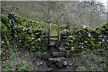 SK1353 : Stile in a moss-covered wall by David Lally