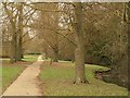 Path by Loughton Brook