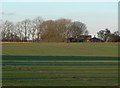 Landscape near East Lound