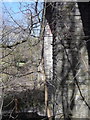 Abandoned viaduct on the Clifton Junction to Accrington Railway Line