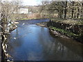 The River Irwell at Chatterton-Strongstry