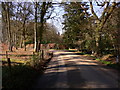 Bend at the east end of Frensham Vale