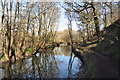 Chesterfield Canal