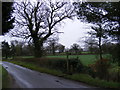 Footpath to the A12 Melton Bypass & Ufford Road