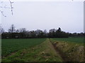 Footpath to the A12 Melton Bypass