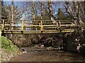 Footbridge over the Hassendean Burn