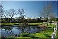 The Pond in Ingrave