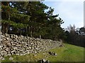 Dry stone wall, Georgetown, Tredegar