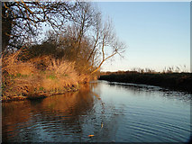 TG2105 : The River Yare at Harford, looking east by Adrian S Pye