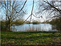 SU0394 : Lake near the Thames west of Ashton Keynes by Brian Robert Marshall