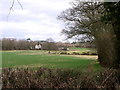 Field near Plummers Plain, West Sussex