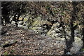 SK4270 : Duckmanton Railway Cutting - Sandstones by Ashley Dace