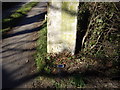 Cut Mark: Gatepost, Station Road, Crowton