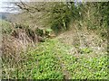 Footpath near Maiden Bradley