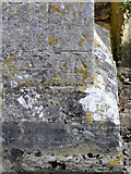 SY8093 : Bench Mark, St Laurence's Church by Maigheach-gheal