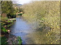 River Wylye, Longbridge Deverill