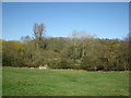 Pond near Broadhatch House