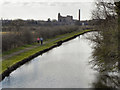 SJ6899 : Bridgewater Canal by David Dixon
