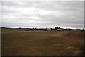 NZ2387 : View to Bothal Park Farm by N Chadwick