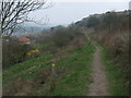 Footpath on Western Heights (2)