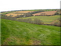 Fields at Higher Penpol