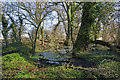 Pond on Reigate Hill