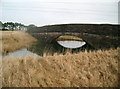 Stranded Railway Bridge