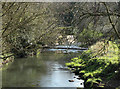 2011 : River Frome at Winterbourne Down