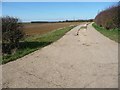 The track to Buckminster Lodge