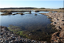 TM4872 : Lagoon on Reedland Marshes by Rob Noble