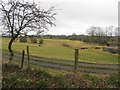 Castlegore Townland