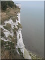 Chalk Cliffs near St.Margaret