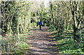 Bridleway from Teg Down