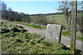 Bridleway on Teg Down