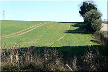 SU4327 : Farmland off Sparsholt Road by Graham Horn