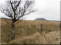 Racavan Townland