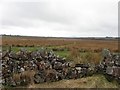 Cloghinarney Townland