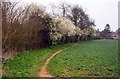 Footpath to Oxford Road