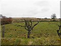 Mistyburn Townland