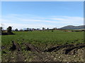 View west across farmland towards the Aughnaloopy Road