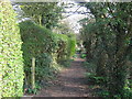 Footpath to St.Margaret