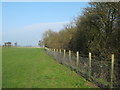 Footpath beside Bere Wood