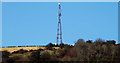 Mast, Carnmoney Hill, Newtownabbey