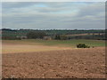 View from Roe Hill