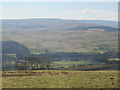 Weardale around Eastgate