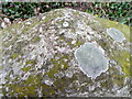 Bench mark on milestone, Aughton