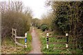 Cycleway to Long Wittenham