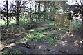 Electrical cabinet in small fir plantation near pumping station